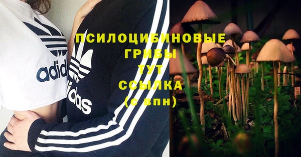 амф Белоозёрский