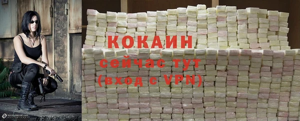 Альфа ПВП Белокуриха