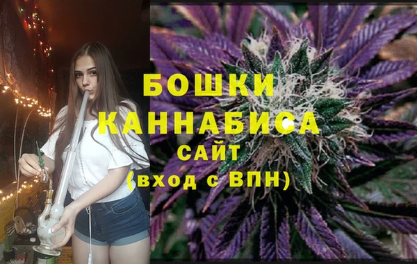Альфа ПВП Белокуриха